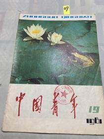 中国青年 1981年第19期