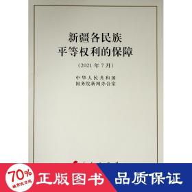 新疆各民族平等权利的保障（16开）