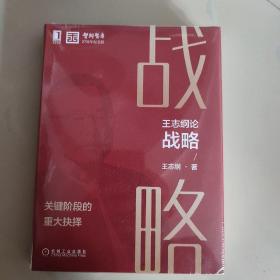 王志纲论战略:关键阶段的重大抉择