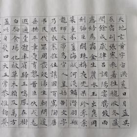 《千字文》，小楷（中书协会员），162x20.5cm，原件