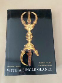 WITH A SINGLE GLANCE，图不多，学术类书籍
