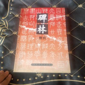 碑林集刊(十二)