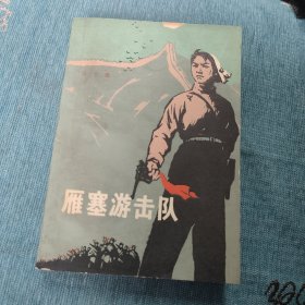 雁塞游击队 七十年代小说