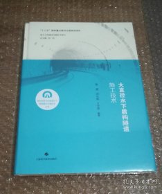 大直径水下盾构隧道施工技术(复杂地质与环境条件下隧道建设关键技术丛书)