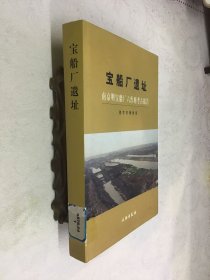 宝船厂遗址（南京明宝船厂六作塘考古报告）精装