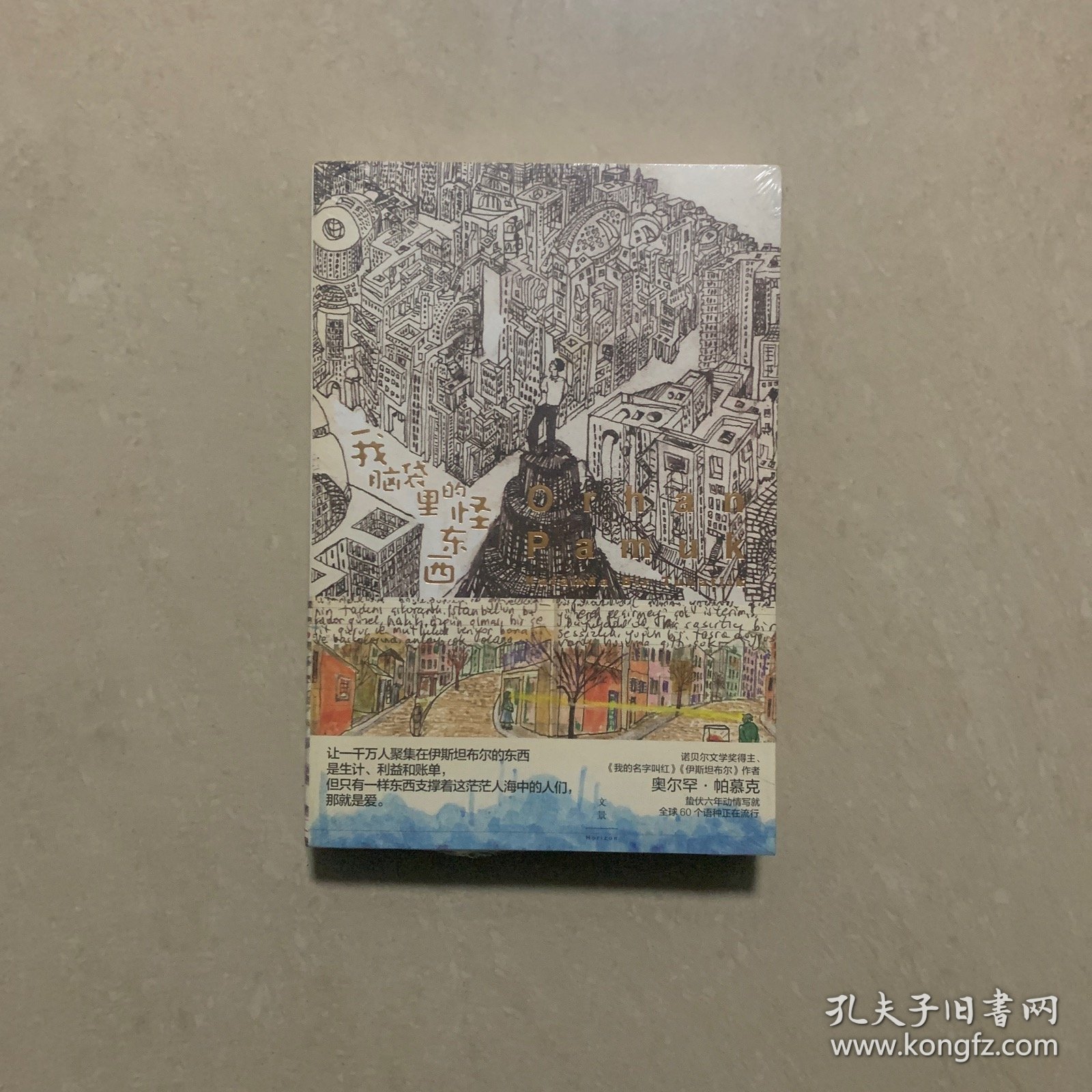 我脑袋里的怪东西