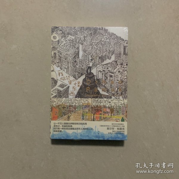 我脑袋里的怪东西