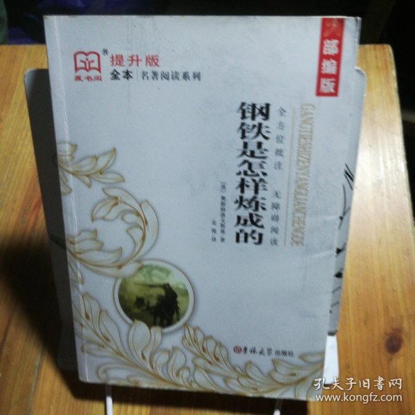 钢铁是怎样炼成的（全译本）