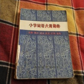 小学词语六用词典