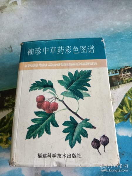 袖珍中草药彩色图谱