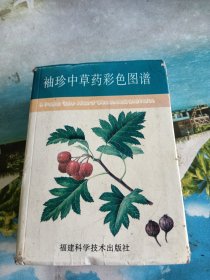 袖珍中草药彩色图谱