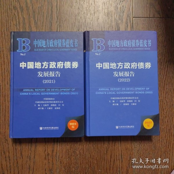 中国地方政府债券蓝皮书：中国地方政府债券发展报告（2022）