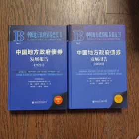 中国地方政府债券蓝皮书：中国地方政府债券发展报告（2022）