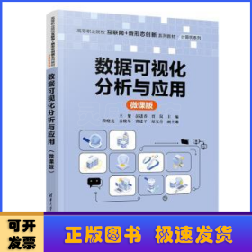 数据可视化分析与应用（微课版）