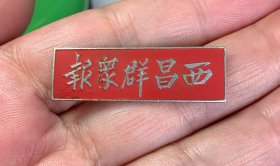西昌群众报 证号110