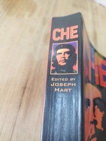 Che:TheLife,Death,andAfterlifeofaRevolutionary