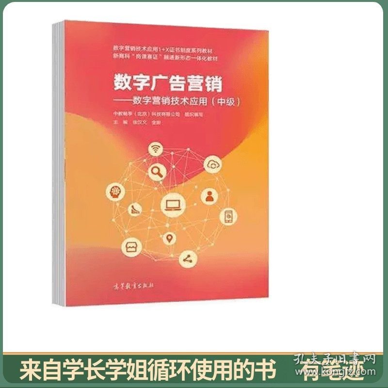数字广告营销——数字营销技术应用（中级）