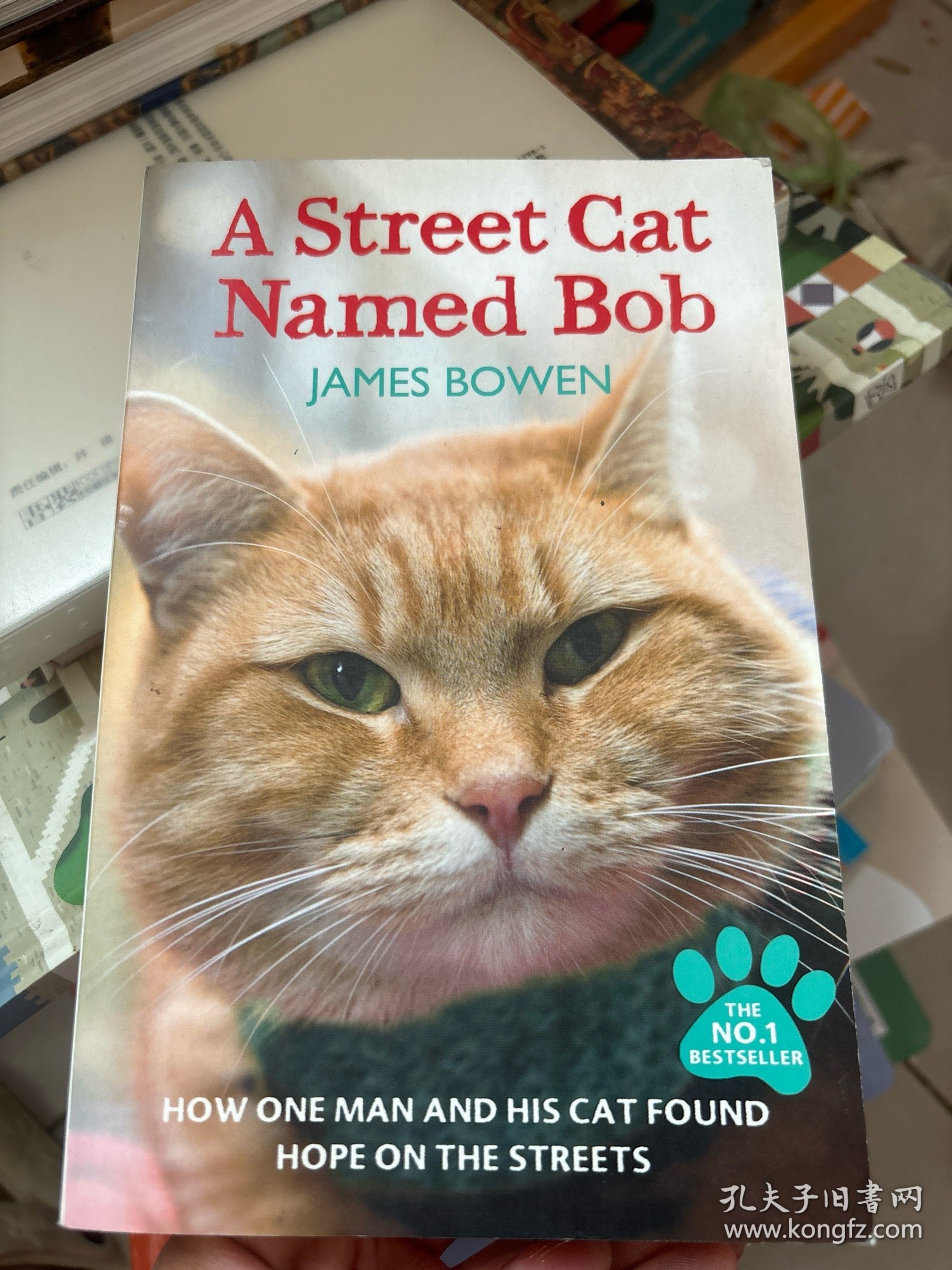 A Street Cat Named Bob：How one man and his cat found hope on the streets