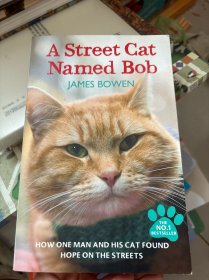 A Street Cat Named Bob：How one man and his cat found hope on the streets