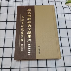 历代佛教经典文献集成（汉语拼音版）大般若波罗蜜多经 （第五册)