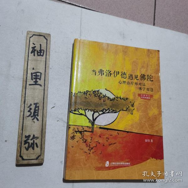 当弗洛伊德遇见佛陀：心理治疗师对话佛学智慧