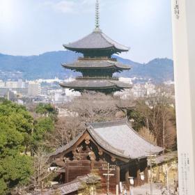 日本古寺美术全集 12  教王护国寺与广隆寺