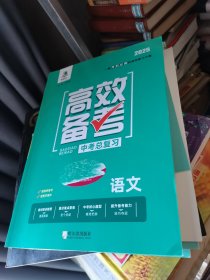 2025高效备考中考总复习语文