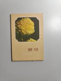 菊花明信片(10张全)