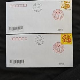 2025年国版蛇戳 赤峰木兰街 半实寄