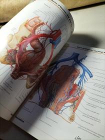 外文版，人体解剖学地图集第四版