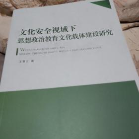 文化安全视域下思想政治教育文化载体建设研究