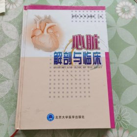 心脏解剖与临床