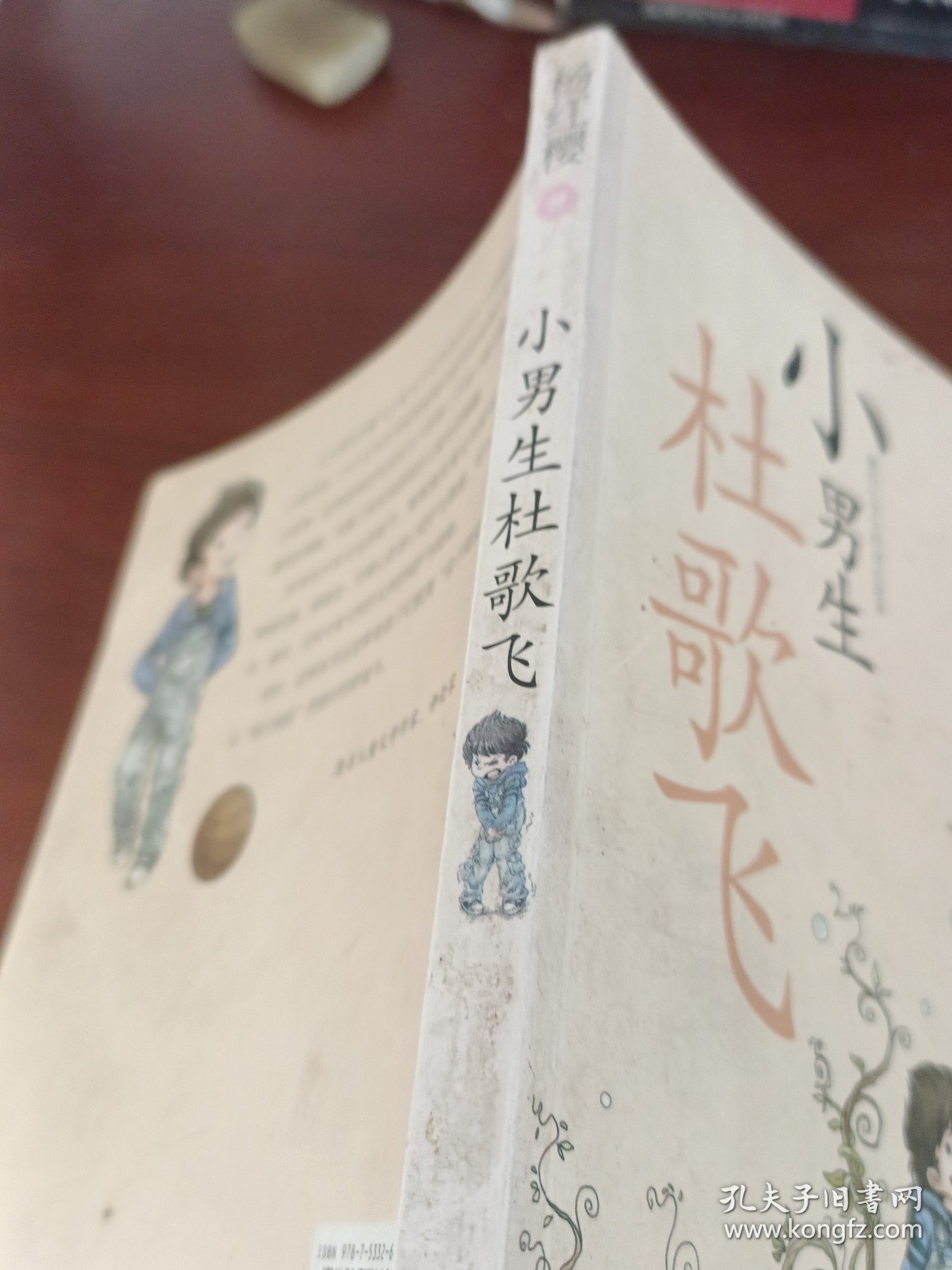 献给小学生的成长故事：小男生杜歌飞