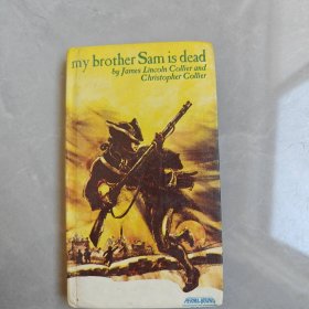 my brother Sam is dead（英文版）