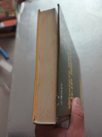 无线与移动All-IP网络/WIRELESS AND MOBILE ALL-IP NETWORKS