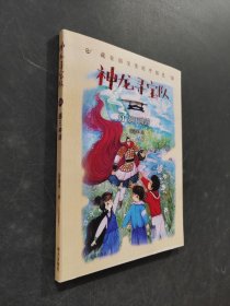 神龙寻宝队