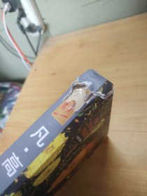 凡高 疯狂的天才画家 世界美术大师作品鉴赏 梵高画册画作