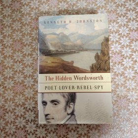 The hidden Wordsworth : poet, lover, rebel, spy