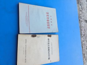 初中语文知识2本