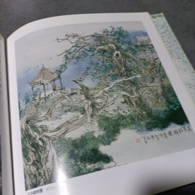 水墨风情书画作品集