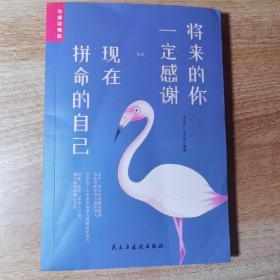 将来的你一定感谢现在拼命的自己。正版书籍
