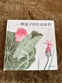 一颗莲子的生命旅程（5-10岁，国画绘出莲的生命轮回，完整展现莲的生命过程，细品传统荷莲文化）