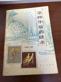采种中草药技术