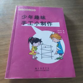 动手与观察丛书：少年趣味手工小制作[B----72]