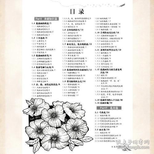 轻松学线描画技法–从入门到精通