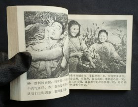 洪湖赤卫队（老电影~战斗题材）77年天津版