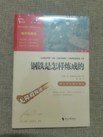 钢铁是怎样炼成的（中小学课外阅读无障碍阅读）八年级下册阅读新老版本随机发货智慧熊图书