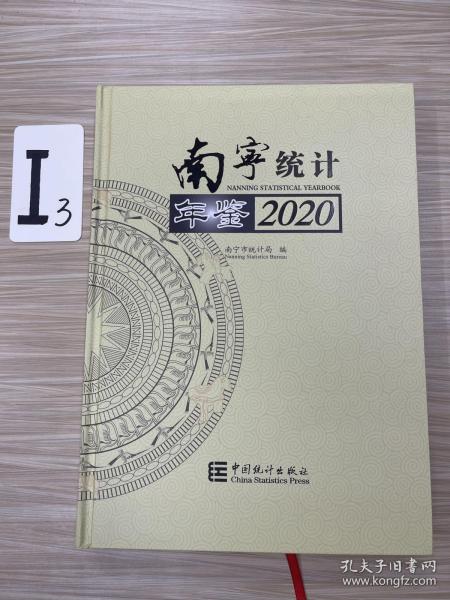 南宁统计年鉴(2020)(精)