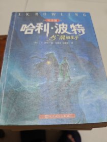 哈利·波特与“混血王子”