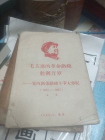 毛主席的革命路线胜利万岁上册